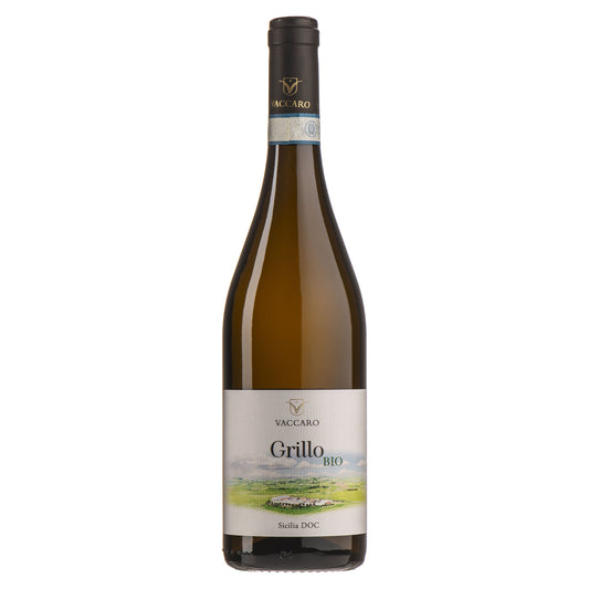 Grillo