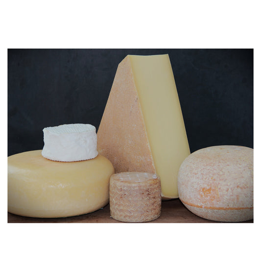 Käse  Abo