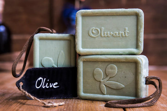 Olive mit Band