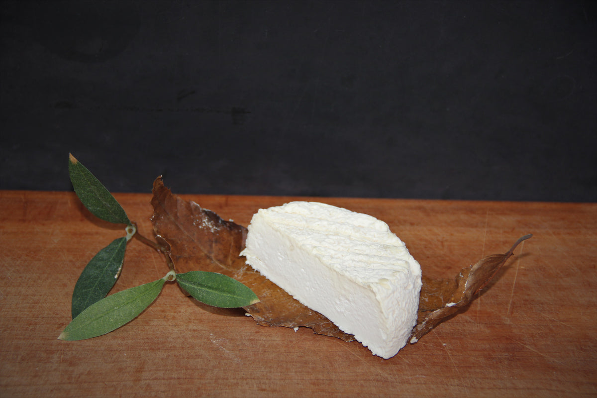 Mothais sur Feuille